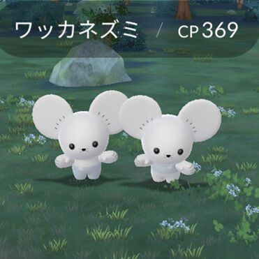 ポケモンGO攻略：ワッカネズミの入手方法は？ 3人家族のイッカネズミは実装されてる？【Pokémon GO】