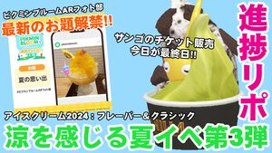 『ピクミン ブルーム』8月は夏の思い出!! ピクミンブルームARフォト部最新のお題とアイスデコ近況リポート【プレイログ#690】
