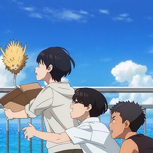 『あの花』チームの最新作、アニメ映画『ふれる。』場面写真が解禁。『あの花』も8/26から再放送開始