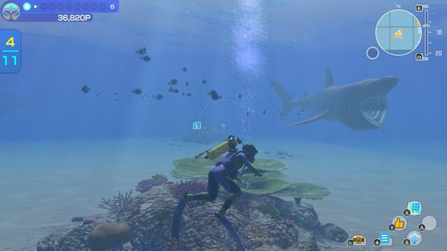 『フォーエバーブルー ルミナス』海の中をひたすら散歩するだけで楽しい。ウバザメやジンベイザメなど海洋生物にも詳しくなれる【夏のおすすめゲームレビュー】