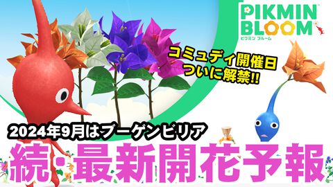 『ピクミン ブルーム』続・来月の開花予報!! コミュディの日程も判明した最新環境ガイド【プレイログ#712】