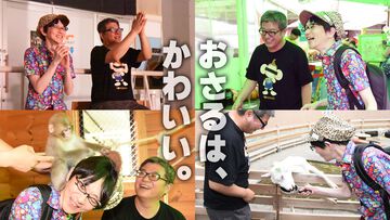 おじさんふたり、日光さる軍団のおさるランドではしゃぐ。子ざるには人間と動物の赤ちゃん両方のかわいさがあってどうにかなりそう
