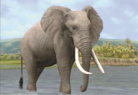 『AFRIKA』15周年。広大なサバンナで暮らしている野性動物たちを撮影！ ナショナルジオグラフィック提供の資料をもとに再現されたリアルな動物たちに心が躍る【今日は何の日？】