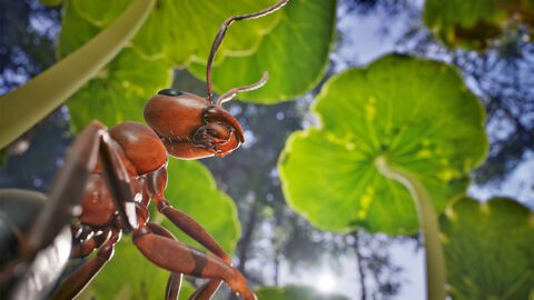 『蟻の帝国－Empire of the Ants』が12月12日に発売、超リアルな蟻の世界を体験できる。仲間とともに巨大な敵に立ち向かう3Dリアルタイムストラテジー