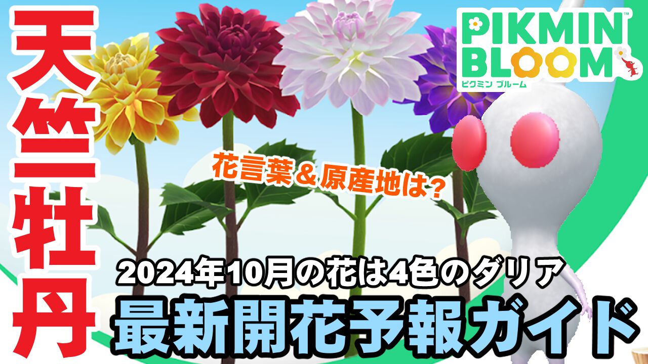 『ピクミン ブルーム』華麗で優美なダリアが開花する2024年10月の新環境をチェックしよう【プレイログ#735】