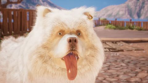 『The Legend of BABOO』少年セファーと愛犬バブーが悪魔に立ち向かうアクションアドベンチャーが発表「犬をなでてもいいよ！」【Xbox Partner Preview】