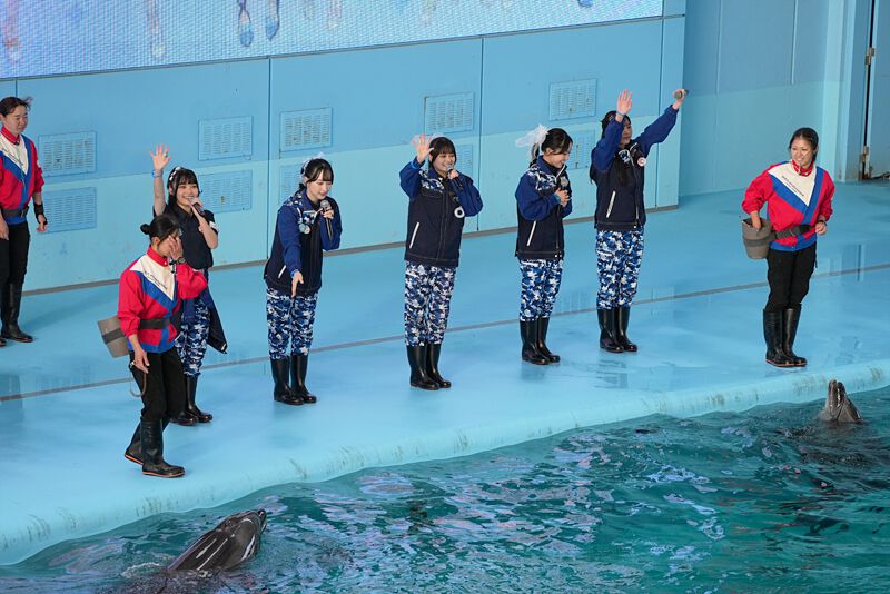 横浜・八景島シーパラダイス」コラボ 9月2日〜開催決定 | NEWS