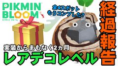 『ピクミン ブルーム』レアデコレベルの進捗は? 日々の散歩がお宝探しのような冒険に変化した進捗リポート【プレイログ#781】