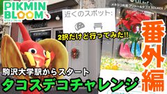 『ピクミン ブルーム』タコスチャレンジ番外編：SNSで見かけた2択スポットに行ってみた【プレイログ#809】