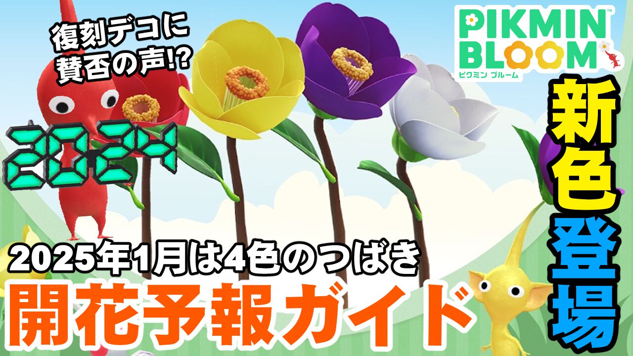 『ピクミン ブルーム』つばきに新色!! 2025年最初の開花予報＆終了間近なホリデーイベント進捗リポート【プレイログ#812】