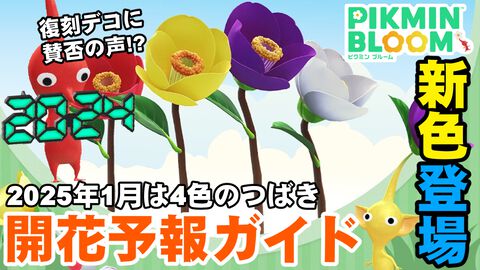 『ピクミン ブルーム』つばきに新色!! 2025年最初の開花予報＆終了間近なホリデーイベント進捗リポート【プレイログ#812】