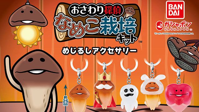 『なめこ栽培キット』のガシャポンが11年ぶりに復活！なめこやマサル、王様なめこがチャームになって登場