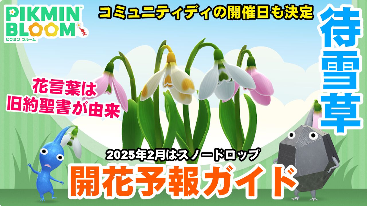 『ピクミン ブルーム』春を告げるスノードロップ!! 2025年2月の開花予報が解禁されたのでちょっと深堀りしてみた【プレイログ#837】