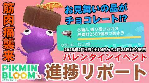 『ピクミン ブルーム』ご新規さんからバレンタイン!! 自宅療養中の昼下がりに舞いこんだサプライズチョコレート【プレイログ#842】