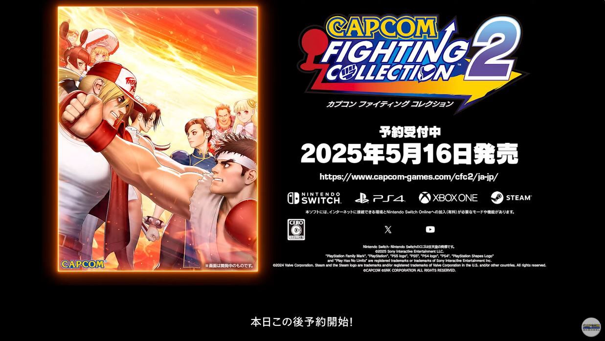 Amazon.com: Capcom Fighting Collection - Switch