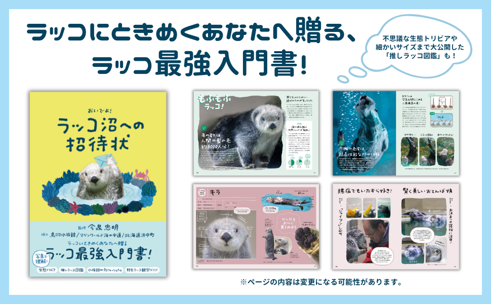 卸売 ogp_ziYJ.png のし・冠婚葬祭用品