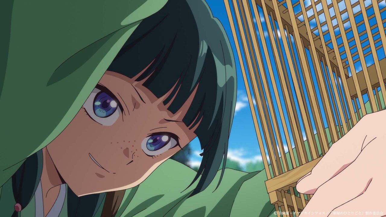 アニメ『薬屋のひとりごと』29話あらすじ。「月の精と会いたい」との