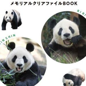 サムネイル画像