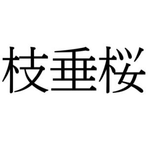 【難読漢字】あたたかい春ならではの“枝垂桜”＝〇〇〇〇〇〇。読み方は？