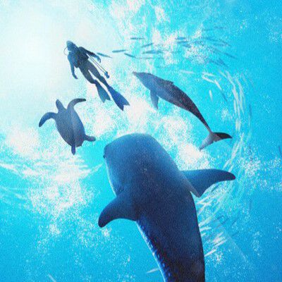 『フォーエバーブルー ルミナス』先行レビュー：神秘的な海でイルカやクジラと泳いだり、世界のダイバーとのゆるやかなマルチプレイを楽しめる。現代人の心にやすらぎを与える癒し系作品