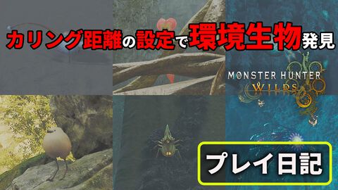 『モンハンワイルズ』スナノリュウセイやフワフワクイナが見つからない方必見！ レア環境生物探しのカギは設定にあり【プレイ日記】