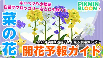 『ピクミン ブルーム』世界中を菜の花畑に!! ありそうでなかった2025年4月の開花予報ガイド【プレイログ#881】