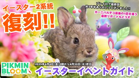『ピクミン ブルーム』うさぎエッグ再来!! かわいいから絶対コンプしてほしい推しデコ復刻＆カーニバル最終リポート【プレイログ#887】