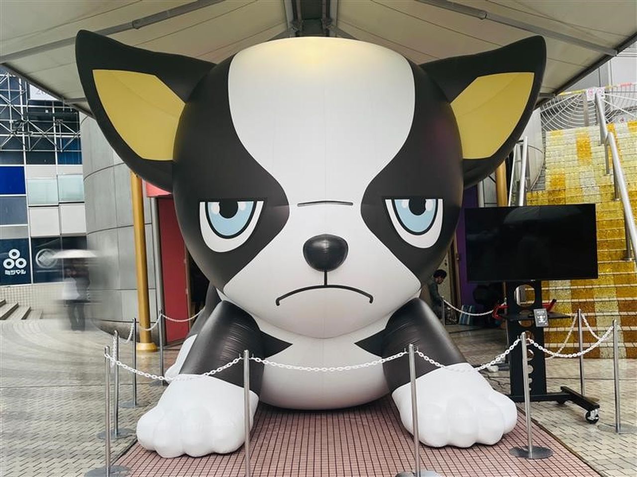 SHIBUYA109に『ジョジョ』3部のイギーの“デカかわッバルーン”が登場 