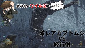 修行僧の『モンハンワイルズ』：楽しいのは狩猟だけじゃない！ 大の大人がカブトムシを捕まえて大喜びした話【ブログ第4回】