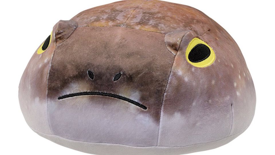 一番くじ“爬虫類＆両生類”でアメフクラガエルのキュートなおしりクッションが登場、もちもちの質感に癒される。本日（4/11）よりローソンなどで発売
