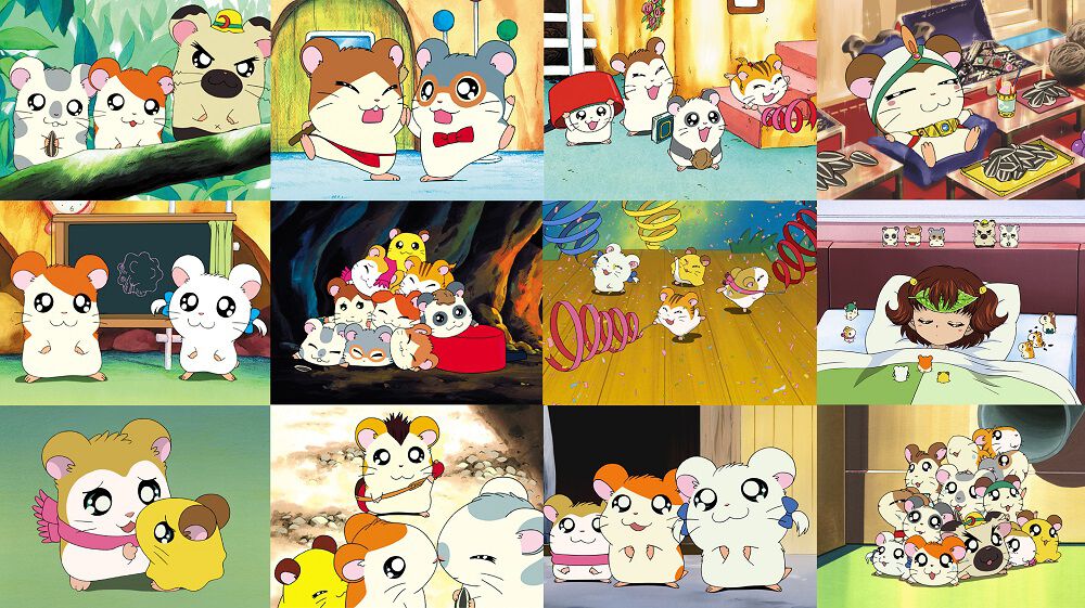 第1シリーズ　とっとこハム太郎　全20巻セット　完結　DVD　アニメ Amazon.co.jp: DVD とっとこハム太郎(1) : 間宮くるみ, 池澤春菜
