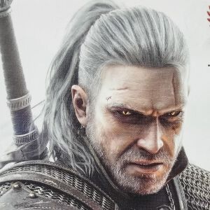 神ゲー『ウィッチャー3』10周年。息子が生まれたらゲラルトと名付けたかった！ 9年かけてトロコンしたプレイヤーが旅の思い出を振り返る【メモリの無駄づかい】