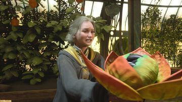 ハリポタ知識ほぼゼロでも『ホグワーツ・レガシー』に夢中。私は杖を使わず白菜農家になりました。今日も敵から「植物だと？ 魔法を使え！」と罵声を浴びる