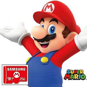 Nintendo Switch 2対応のmicroSD Express Card（256GB）が入荷予約受付中。任天堂ライセンス商品だから安心して使える！【スイッチ2】