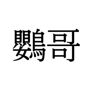 【難読漢字】かわいらしい生き物の“鸚哥”、どう読む？