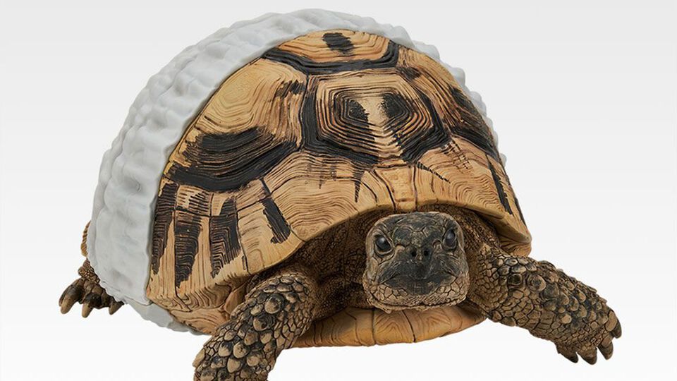 一番くじ爬虫類＆両生類が本日（7/25）発売。オムツ姿のヘルマンリクガメ、続投のアオジタトカゲのフィギュアなど揃う