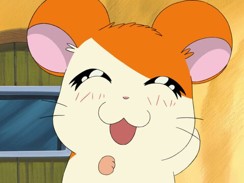 『とっとこハム太郎』誕生日に主題歌メドレー1時間耐久を実施。25回分の『ハム太郎とっとこうた』が流れる
