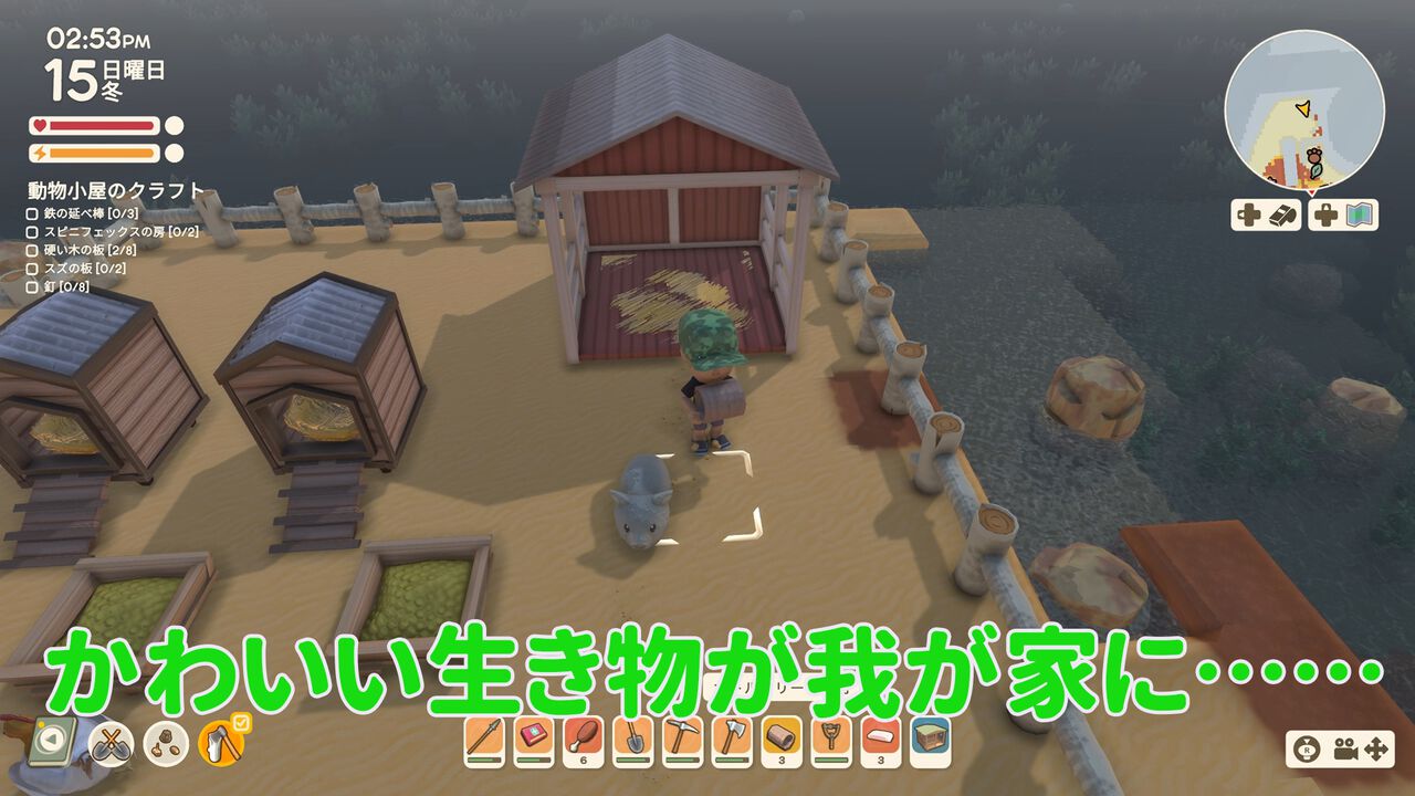 【Dinkum(ディンカム)プレイ日記】深夜のお店ナイトマーケットで売っているものとは。そして偶然出会えた、最強にかわいい生き物