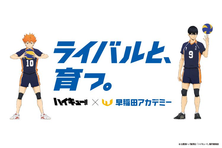 『ハイキュー‼』と早稲田アカデミーがコラボ。“ライバルと、 育つ。”をテーマに新聞・交通。デジタル広告やWebムービーなど幅広く