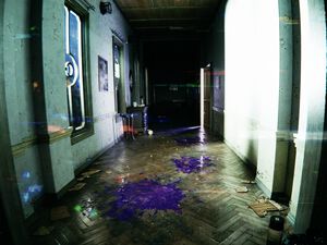 『ポケモンレジェンズZ-A』で閲覧注意の実写映像？ 心理的な緊張感をともなう謎の映像が8月21日(木)22時に公開