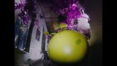 【メガウツボット】『ポケモンレジェンズZ-A』ウツボットがメガシンカ!? ホラー映画さながらの新映像が公開