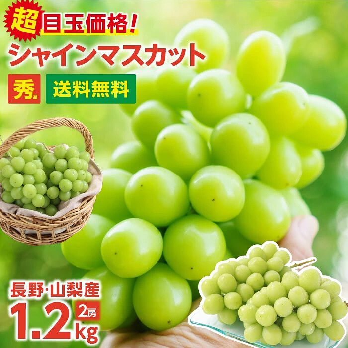 おいしいシャインマスカットの2房セット（約1.2kg）がお得な価格