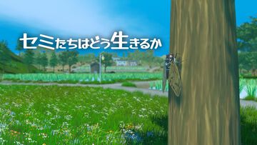 『セミたちはどう生きるか』一匹のセミとして日本の田舎町を生きるオープンワールドゲーム、9月30日発売。次世代へ力を託す“交配システム”やバトル要素も
