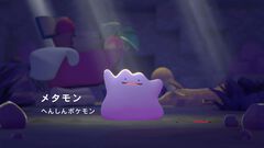 【ポケモン新作】『ぽこ あ ポケモン』2026年春発売。ニンゲンにへんしんしたメタモンがポケモンたちとの暮らしを作る【Nintendo Direct】
