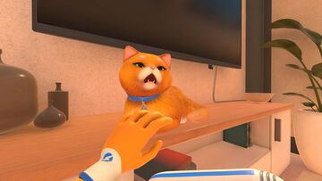 『パワーウォッシュ シミュレーター2』がSwitch2で2025年秋配信。画面分割で2人協力プレイが可能、オンラインなら4人まで。猫もなでられる【Nintendo Direct】