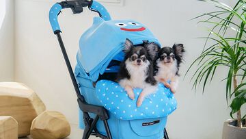 『ドラクエ』チワワやポメラニアンが乗れるスライムのペットカートがかわいい。愛犬たちとの時間をより楽しくする新グッズが9月27日に発売【SQEX PETs】