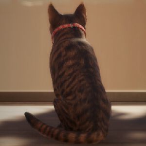 『近畿地方のある場所について』の背筋がシナリオを手がけるホラー『まだ猫は逃げますか？』10/27配信決定