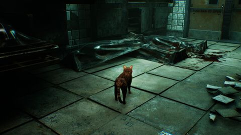 『ミャオモリーズ』2026年リリース予定。恐怖の先にネコと飼い主の“絆”を描くホラーアドベンチャー。想い出を頼りに飼い主との再会を目指す