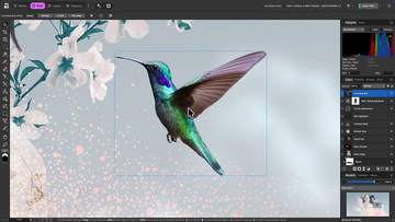 クリエイター向けツール『Affinity』が完全無料化。『Designer』『Photo』『Publisher』3つのソフトが統合され1本へ。今後のアプデもずっと無料