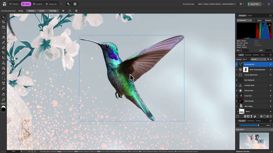 クリエイター向けツール『Affinity』が完全無料化。『Designer』『Photo』『Publisher』3つのソフトが統合され1本へ。今後のアプデもずっと無料